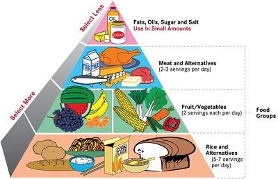 A kiegyensúlyozott táplálkozás alapelvei | Nosalty