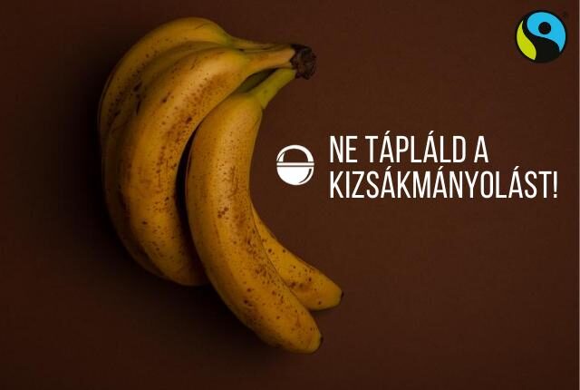 fairtrade banán