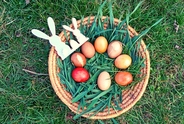 Húsvéti tojásfestés természetesen – akár konyhai ételhulladékból