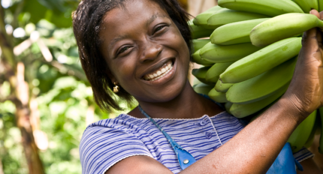 fairtrade banán ültetvény nők
