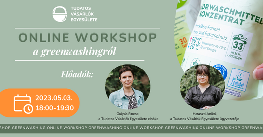 greenwashing workshop