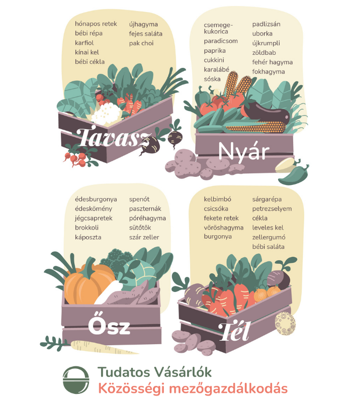 FM CSA grafika szezonális zöldségdobozok